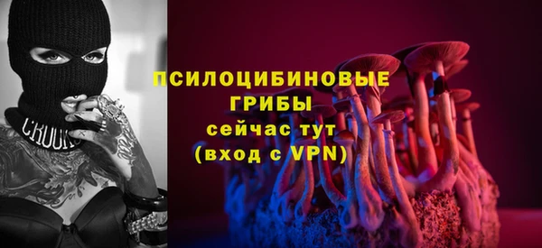 apvp Гусиноозёрск