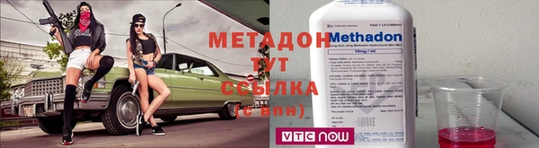 прущие грибы Горно-Алтайск