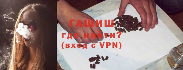 тгк Гусев