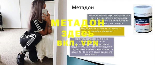 прущие грибы Горно-Алтайск