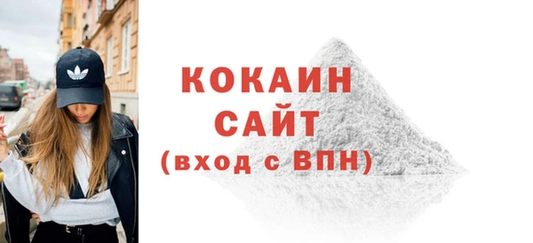 прущие грибы Горно-Алтайск