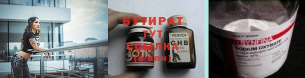 прущие грибы Горно-Алтайск