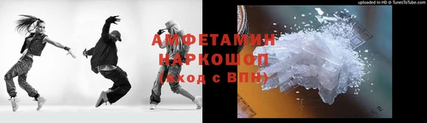 прущие грибы Горно-Алтайск