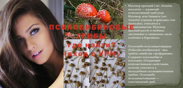мескалин Горнозаводск