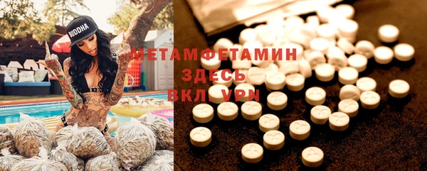 прущие грибы Горно-Алтайск