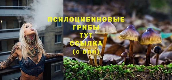 мескалин Горнозаводск