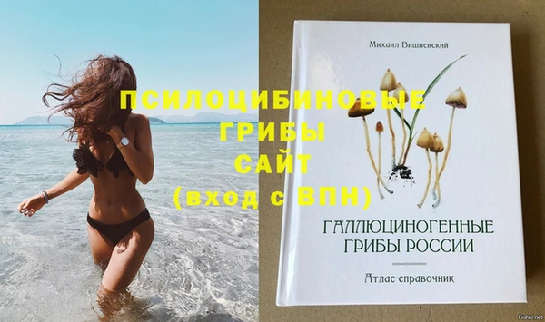 прущие грибы Горно-Алтайск