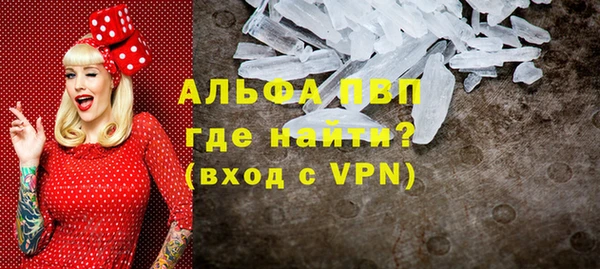 прущие грибы Горно-Алтайск