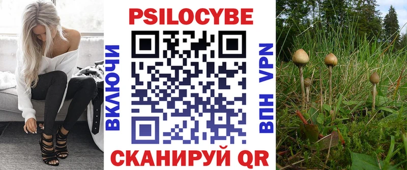 Псилоцибиновые грибы Cubensis  ОМГ ОМГ вход  Геленджик 