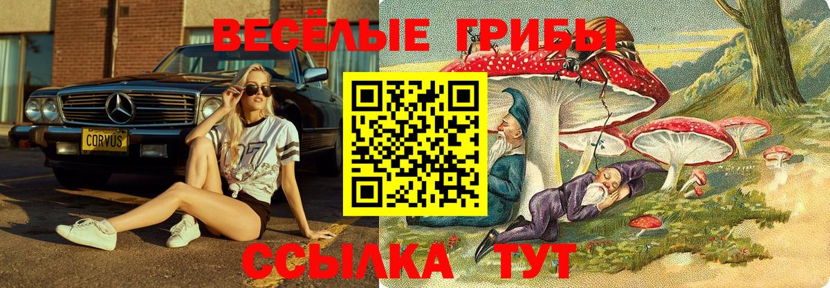 Псилоцибиновые грибы мухоморы Геленджик