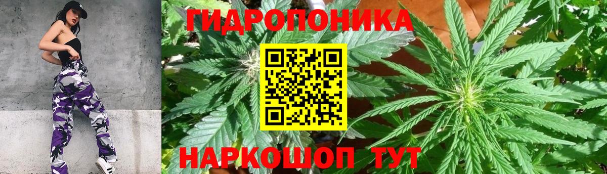 Бошки Шишки Bruce Banner  Вход с VPN  Геленджик  Канабис тримм  Шишки марихуана планчик 
